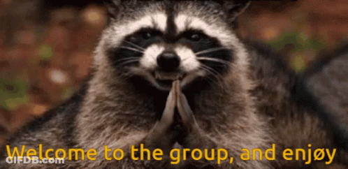 Raccoon Saying Welcome To The Group And Enjoy GIF