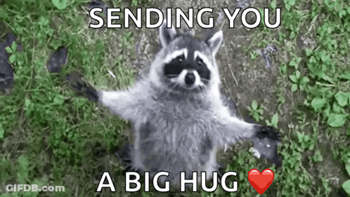 Raccoon Sending Big Hug GIF