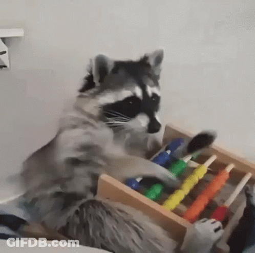 Raccoon Sitting In Drawer Playing GIF