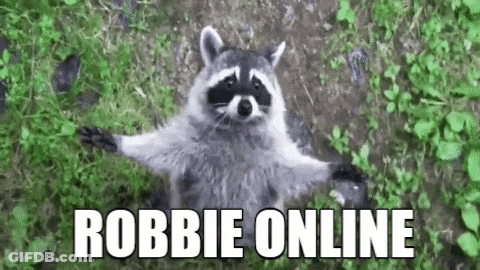 Raccoon Sitting In Grass Arms Outstretched Robbie Online GIF