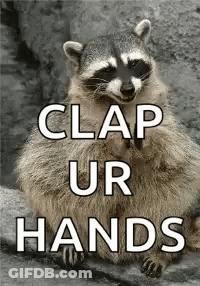 Raccoon Sitting On Rock Saying Clap Ur Hands GIF
