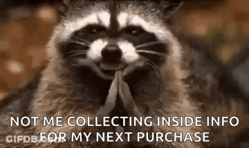 Raccoon Sitting With Hands Folded In Front Of Face GIF