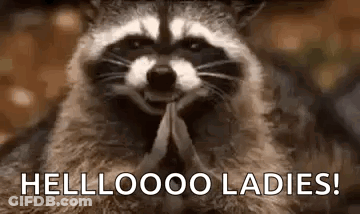 Raccoon Smiling And Praying GIF