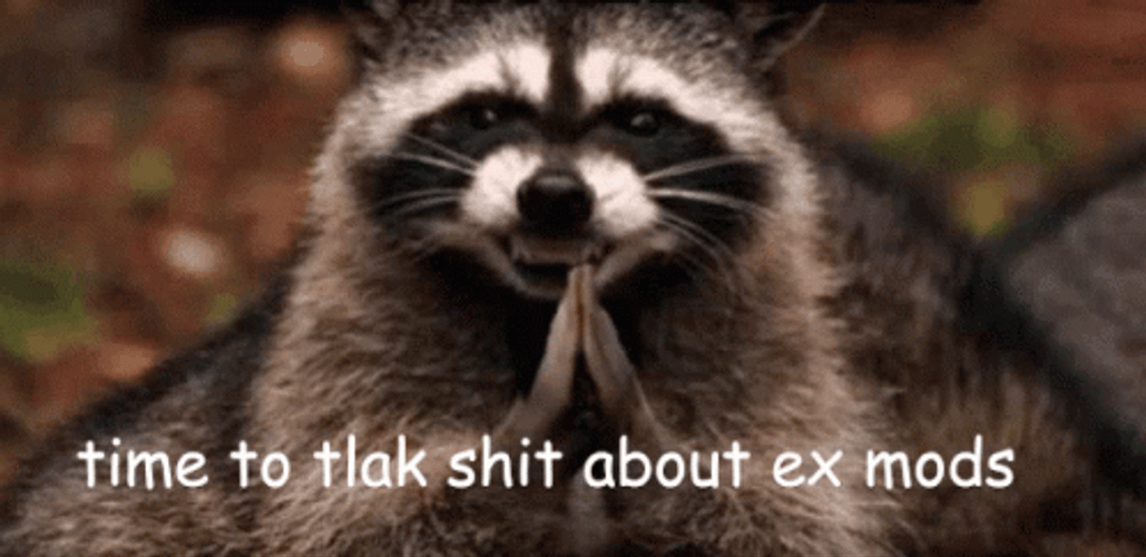 Raccoon Smiling Welcome To The Team Meme GIF