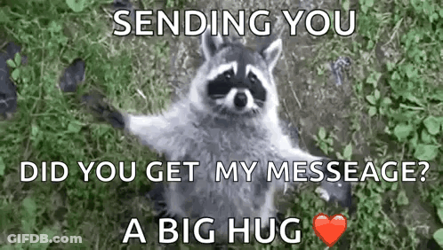Raccoon Standing In Grass With Heart GIF