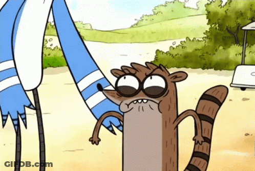 Raccoon Standing Next To Two Birds GIF
