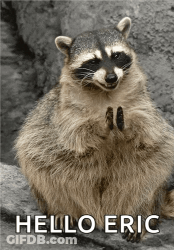 Raccoon Standing Saying Hello Eric GIF
