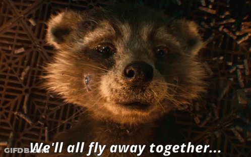 Raccoon We'll All Fly Away Together GIF