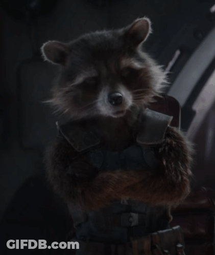 Raccoon Wearing Rocket Vest GIF