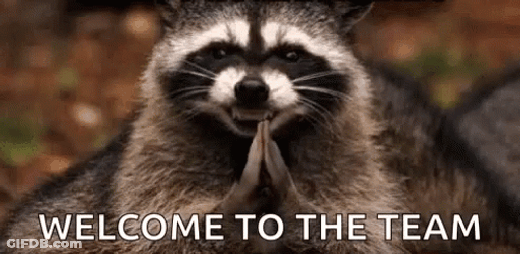 Raccoon Welcome To The Dark Side GIF