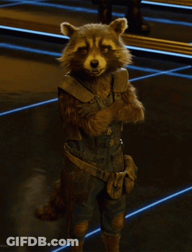 Raccoon With Crossed Arms At Marvel Sign GIF