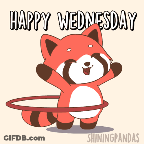 Raccoon With Hula Hoop Happy Wednesday GIF