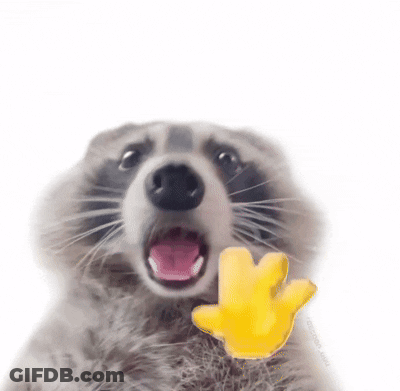 Raccoon With Open Mouth Holding Yellow Hand GIF