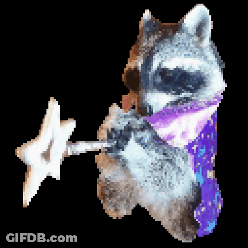 Raccoon With Purple Scarf Holding Star GIF