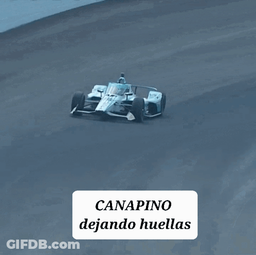 Race Car Canapino Dejando Huellas GIF