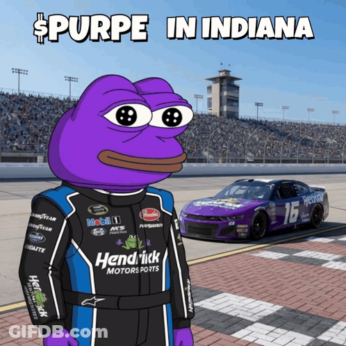 Race Car Driver Purpe In Indiana GIF