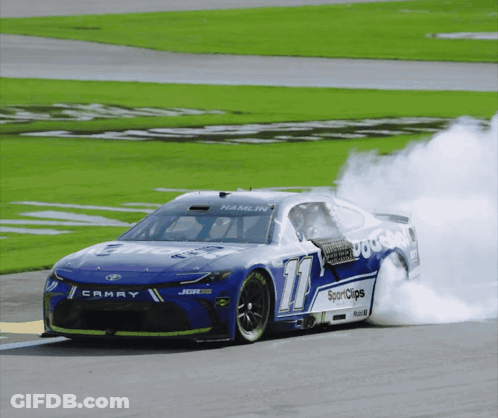 Race Car Number 17 GIF
