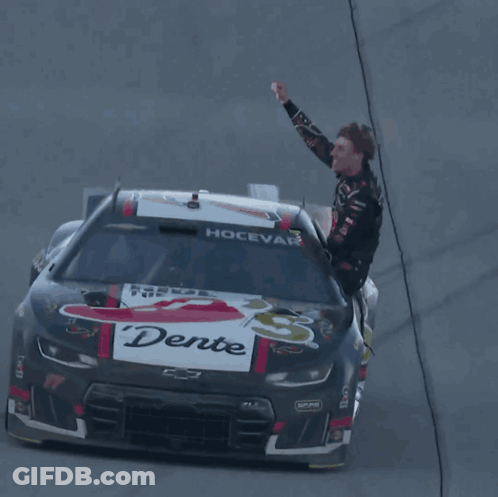 Race Car Number 17 GIF