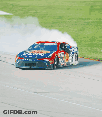 Race Car Number 29 GIF