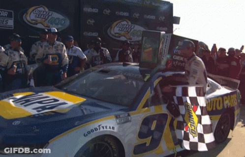 Race Car Number 9 GIF