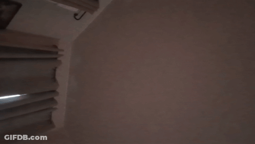 Race Day Video Game Screen GIF