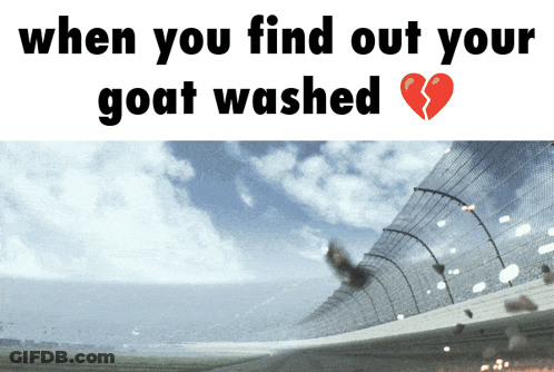Race Track Saying When You Find Out Your Goat Washed GIF