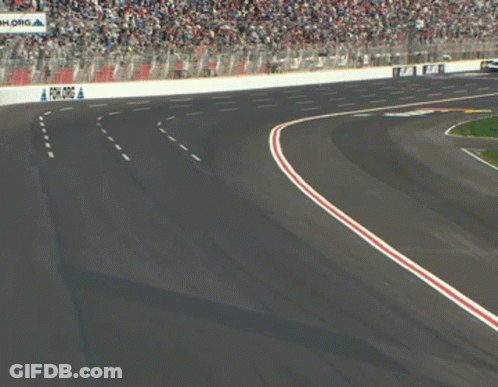 Race Track With Fish.org Sign GIF