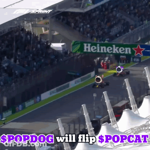 Race Track With Heineken Sign GIF