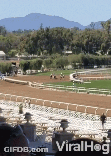 Race Track With ViralHog Text GIF