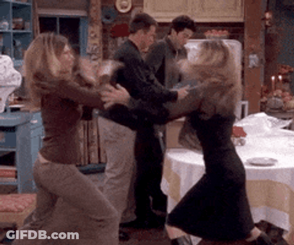 Rachel Cat Fighting With Friend GIF