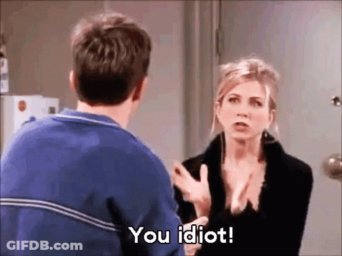 Rachel Green Angry What An Idiot GIF
