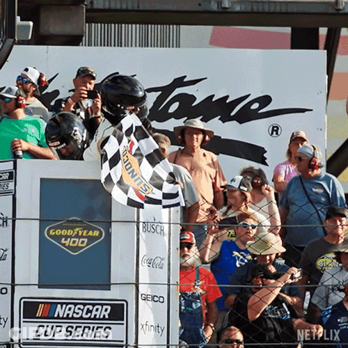 Racing Checkered Flag Waving GIF