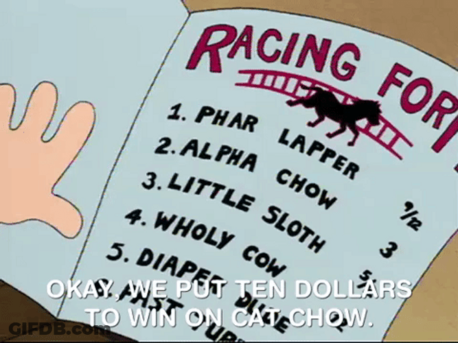 Racing For Horse Chow GIF