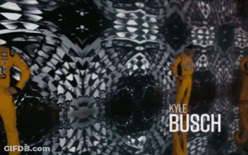 Racing Man Kyle Busch GIF