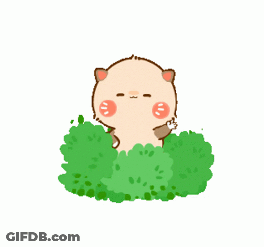 Racoon Charlie Hello Sticker Bush GIF