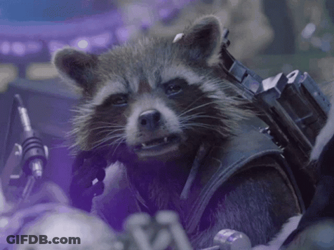 Racoon Feeling Tired GIF