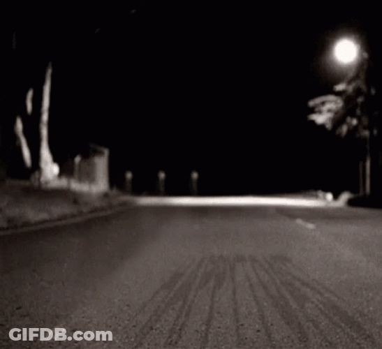 Racoon Funny Night Dancing GIF