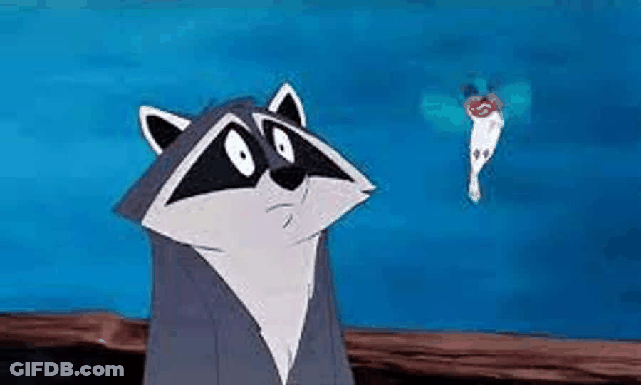 Racoon In Mulan Jaw Drop GIF