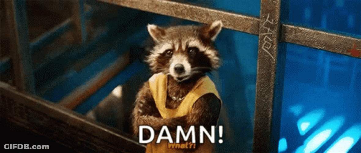 Racoon Pissed At Work GIF