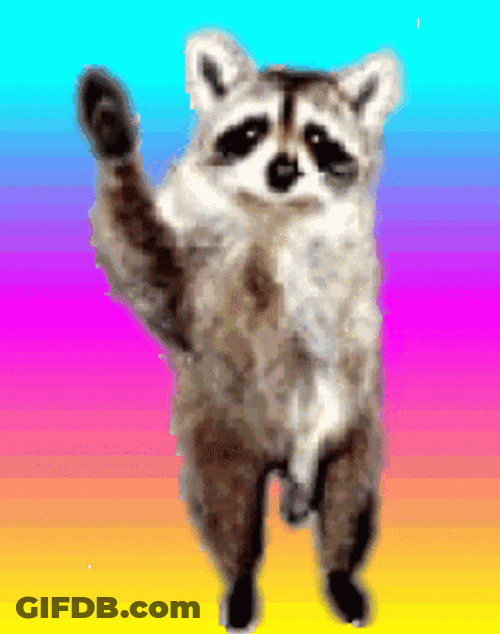 Racoon Reggae Waving GIF