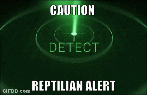 Radar Saying Caution Reptilian Alert GIF