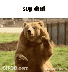 Radar Screen Checking For Someone Who Cares GIF