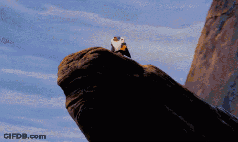 Rafiki Rafiki GIF