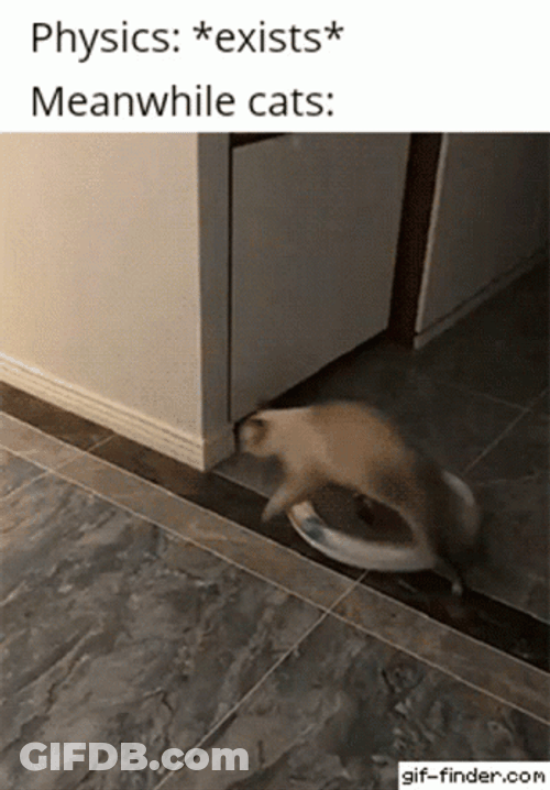 Rag Doll Cat Physics GIF