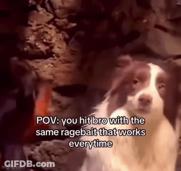 Ragebait Rage Bait Dog GIF