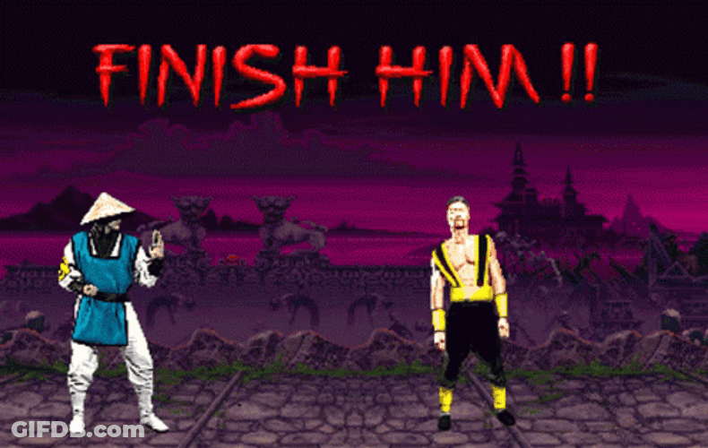 Raiden Wins Fatality GIF