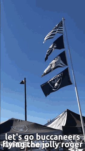 Raiders Flags Flying GIF