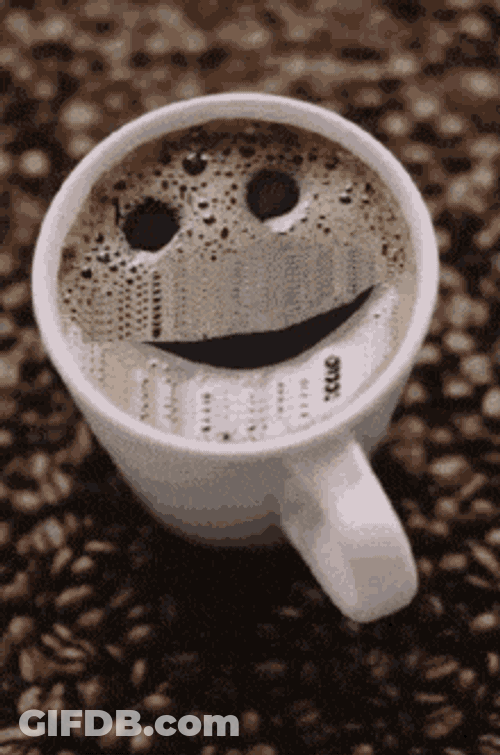 Raiders Raiders Win GIF