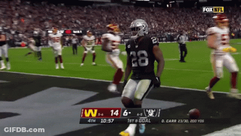 Raiders Redskins Football Game Fox NFL GIF