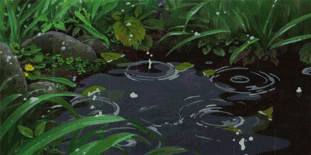 Rain Anime Water Puddle GIF
